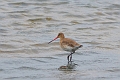 02 12 15_8774_edited-1